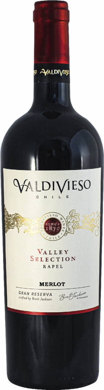 Valdivieso Merlot Single Valley Lot Gran Reserva DO