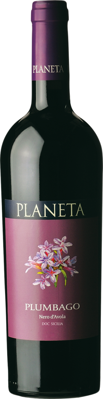 Planeta Plumbago Nero d