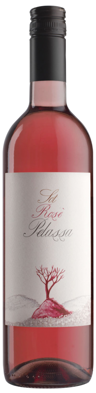 Daniele Pelassa SOT Nebbiolo Rosé